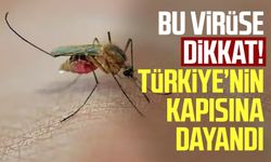 Sivrisineklerden bulaşan virüse dikkat! Türkiye’nin kapısına dayandı