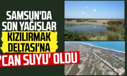 Samsun'da son yağışlar Kızılırmak Deltası'na 'can suyu' oldu