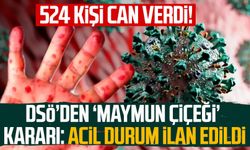 DSÖ’den ‘maymun çiçeği’ kararı: Acil durum ilan edildi