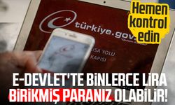 e-Devlet'te binlerce lira birikmiş paranız olabilir!