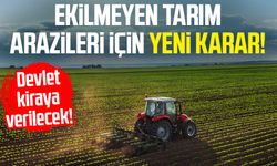 Ekilmeyen tarım arazileri için yeni karar: Devlet kiraya verilecek!