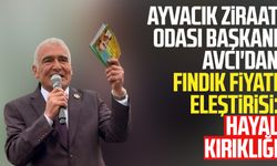 Ayvacık Ziraat Odası Başkanı Avcı'dan fındık fiyatı eleştirisi: Hayal kırıklığı