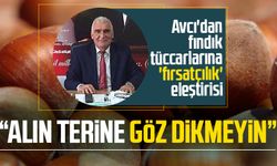 Erdal Avcı'dan fındık tüccarlarına 'fırsatçılık' eleştirisi: "Alın terine göz dikmeyin"