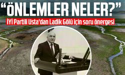 İYİ Partili Erhan Usta'dan Ladik Gölü için soru önergesi: Önlemler neler?