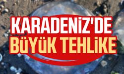 Karadeniz'de büyük tehlike