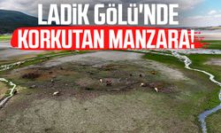 Ladik Gölü'nde korkutan manzara!