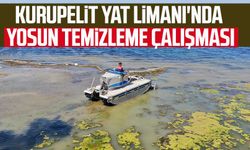 Kurupelit Yat Limanı'nda yosun temizleme çalışması