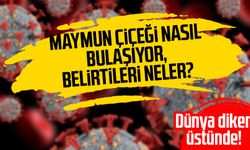 Maymun çiçeği nasıl bulaşıyor, belirtileri neler?