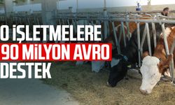 O işletmelere 90 milyon avro destek