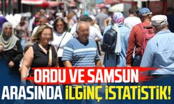 Ordu ve Samsun nüfusu arasında ilginç istatistik!