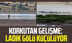 Korkutan gelişme: Ladik gölü küçülüyor