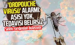 'Oropouche virüsü' alarmı: Aşısı yok, tedavisi belirsiz