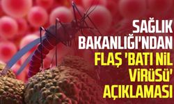 Sağlık Bakanlığı'ndan flaş 'Batı Nil Virüsü' açıklaması