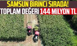 Samsun birinci sırada! Toplam değeri 144 milyon TL