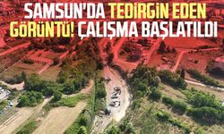 Samsun'da tedirgin eden görüntü: Çalışma başlatıldı