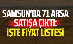 Samsun'da 71 arsa satışa çıktı! İşte fiyat listesi