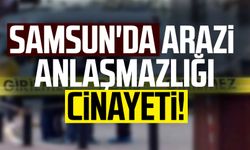 Samsun Çarşamba'da arazi anlaşmazlığı cinayeti!