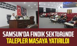 Samsun'da fındık sektöründe talepler masaya yatırıldı