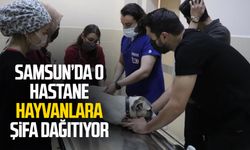 Samsun'da o hastane hayvanlara şifa dağıtıyor