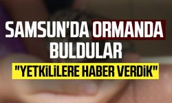 Samsun'da ormanda çalılıkların arasında buldular: "Yetkililere haber verdik"