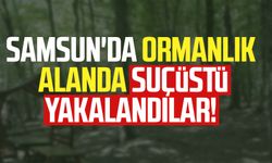 Samsun'da ormanlık alanda suçüstü yakalandılar!