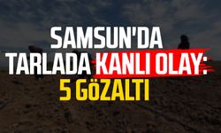 Samsun'da tarlada kanlı olay! Sırtından vuruldu: 5 gözaltı