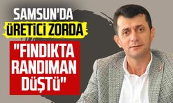 Samsun'da üretici zorda: "Fındıkta randıman düştü"