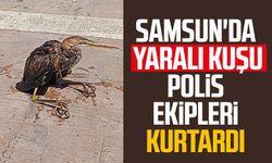 Samsun'da yaralı kuşu polis ekipleri kurtardı