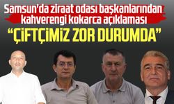 Samsun'da ziraat odası başkanlarından kahverengi kokarca açıklaması