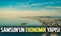 Samsun'un ekonomik yapısı