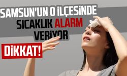 Samsun'un o ilçesinde sıcaklık alarm veriyor