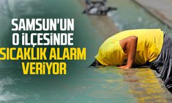 Samsun'un o ilçesinde sıcaklık alarm veriyor