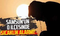 Samsun'un o ilçesinde sıcaklık alarmı!