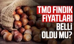 TMO fındık fiyatları belli oldu mu, ne zaman açıklanacak?