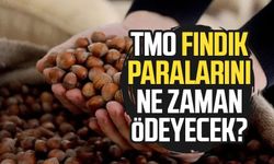 TMO fındık paralarını ne zaman ödeyecek?