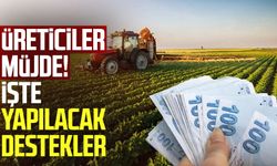 Üreticiler müjde! İşte yapılacak destekler