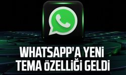 Whatsapp'a yeni tema özelliği geldi