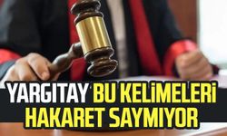 Yargıtay'a göre hakaret sayılmayan güncel kelimeler
