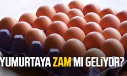 Yumurtaya zam mı  geliyor?