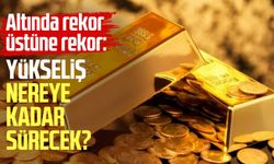 Altında rekor üstüne rekor: Yükseliş nereye kadar sürecek?