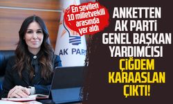 Anketten Ak Parti Genel Başkan Yardımcısı Çiğdem Karaaslan çıktı!