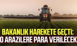 Bakanlık harekete geçti: O arazilere para verilecek