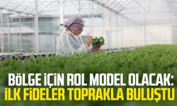 Bölge için rol model olacak: Samsun'da ilk fideler toprakla buluştu