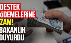 Destek ödemelerine zam! Bakanlık duyurdu