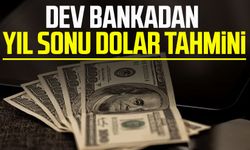 Dev bankadan yıl sonu dolar tahmini