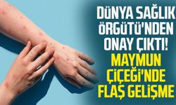 Dünya Sağlık Örgütü'nden onay çıktı! Maymun Çiçeği'nde flaş gelişme