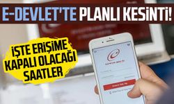 E-Devlet'te planlı kesinti! İşte erişime kapalı olacağı saatler