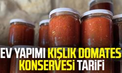 Ev yapımı kışlık domates konservesi tarifi