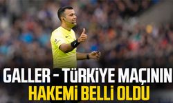 Galler - Türkiye maçının hakemi belli oldu