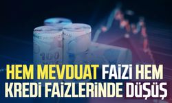 Hem mevduat faizi hem kredi faizlerinde düşüş